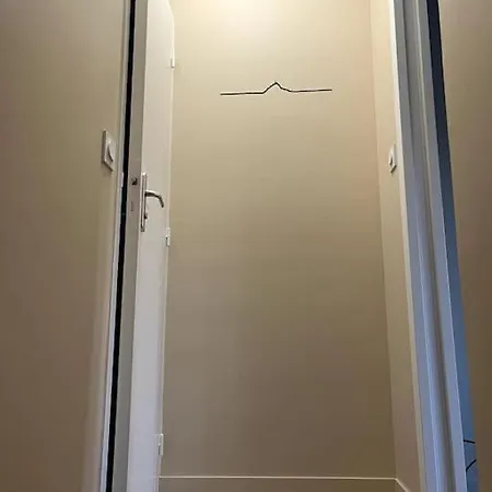 公寓 Duplex 50m2 Renove, Hyper-centre, St Sauveur 凯恩